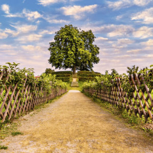 Záhrada v Kroměříži